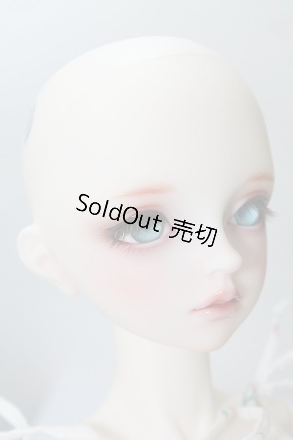 画像4: SDGrG/F-90:フルチョイス U-24-02-14-218-NY-ZU (4)