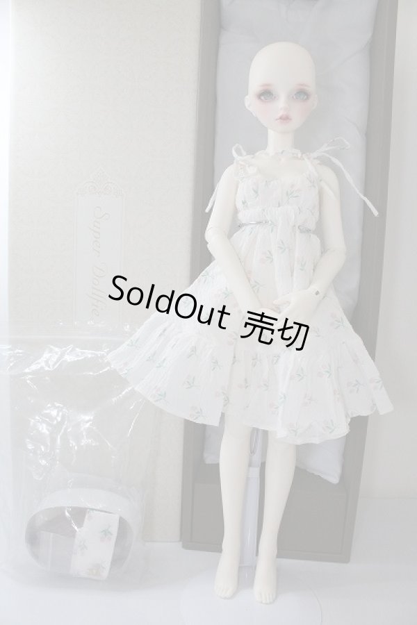 画像6: SDGrG/F-90:フルチョイス U-24-02-14-218-NY-ZU (6)