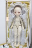 画像2: TinyFox/‘Little frog’1/6 points Angel body Fullset A-24-02-21-152-NY-ZA (2)