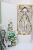 画像3: TinyFox/‘Little frog’1/6 points Angel body Fullset A-24-02-21-152-NY-ZA (3)