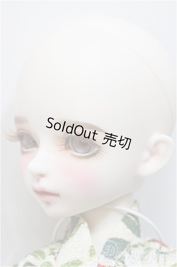 画像4: Myou Doll/Zuzana -文学少女- Literature A-24-09-04-300-NY-ZA (4)