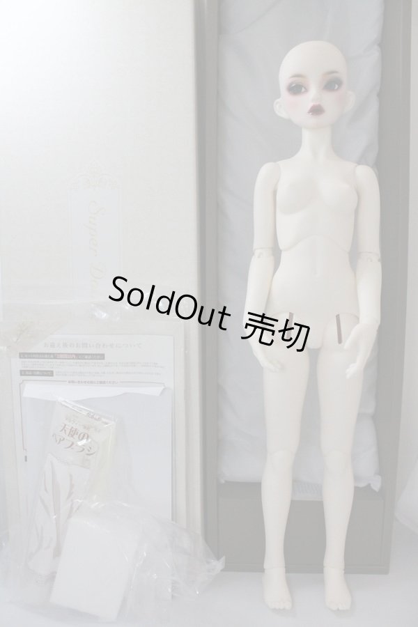 画像5: SD13G/F-62：オーダーメイク U-24-02-21-219-NY-ZU (5)