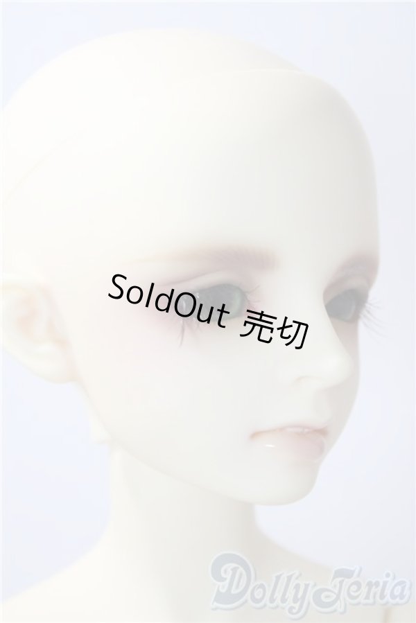 画像4: SDB/ミシェル：夏の夜の幻 U-26-01-04-219-NY-ZU (4)