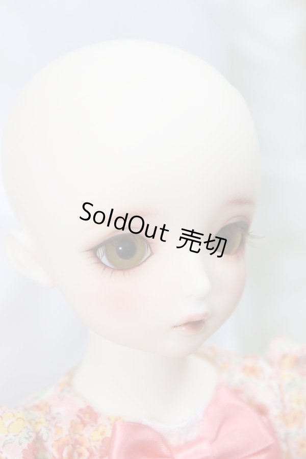 画像3: SDMGIRL/コーディネイトモデルF-56 A-24-03-06-243-KN-ZA (3)