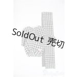 画像: ネオブライス/of:ディーラー製格子柄ドレス/ファッションドール 衣装 A-25-04-16-239-KD-ZA