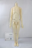 画像1: BJD CROBI/M-Line Boy Body Nao B type　A-24-04-03-1100-KN-ZU (1)