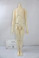 画像: BJD CROBI/M-Line Boy Body Nao B type　A-24-04-03-1100-KN-ZU