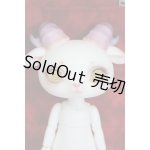 画像: dearmine/Fluorite LORENZ bean A-24-03-13-273-NY-ZA