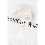 画像: SDGｒB/F-88　フルチョイス U-24-04-03-216-NY-ZU