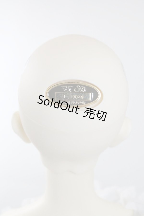 画像8: SDGｒB/F-88　フルチョイス U-24-04-03-216-NY-ZU (8)