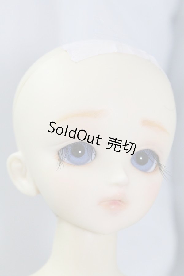 画像8: MSD/F-02　男の子 U-24-05-01-214-NY-ZU (8)