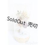 画像: SD/ドライフラワーの置物/0 A-25-07-23-320-NY-ZA