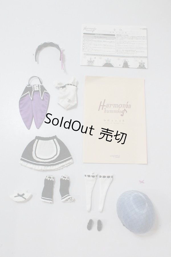 画像1: Harmonia humming/OF:レム衣装・ウィッグ A-24-05-01-1069-NY-ZU (1)