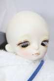 画像4: WITH DOLL/Ugly Duckling 　 Shawn A-24-05-01-299-NY-ZA (4)