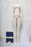 画像1: DRAGON DOLL/65cm Girl body A-24-05-01-296-NY-ZA (1)