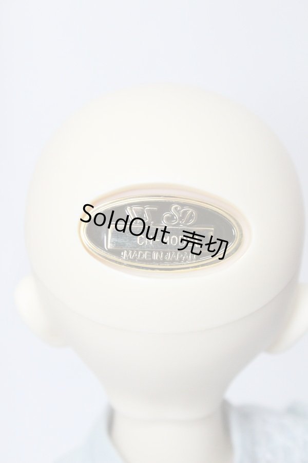 画像5: SDMGIRL/F-45 コーディネートモデル A-24-05-08-101-NY-ZA (5)