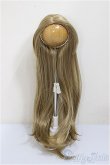 画像1: 9〜10inchウィッグ/ロング(ストレート)/インチ　BJD　MJD　ドール用 A-25-08-13-398-KD-ZA (1)