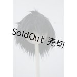 画像: ボアウィッグ/7-8inch(黒) U-24-05-21-049-KD-ZU