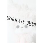 画像: うさぎ/アートドール A-24-06-19-1044-NY-ZU