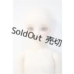 画像: SDM女の子/F-52　コーディネートモデル Y-24-12-04-290-NY-ZY