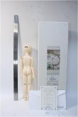 画像4: SDM女の子/F-52　コーディネートモデル Y-24-12-04-290-NY-ZY (4)