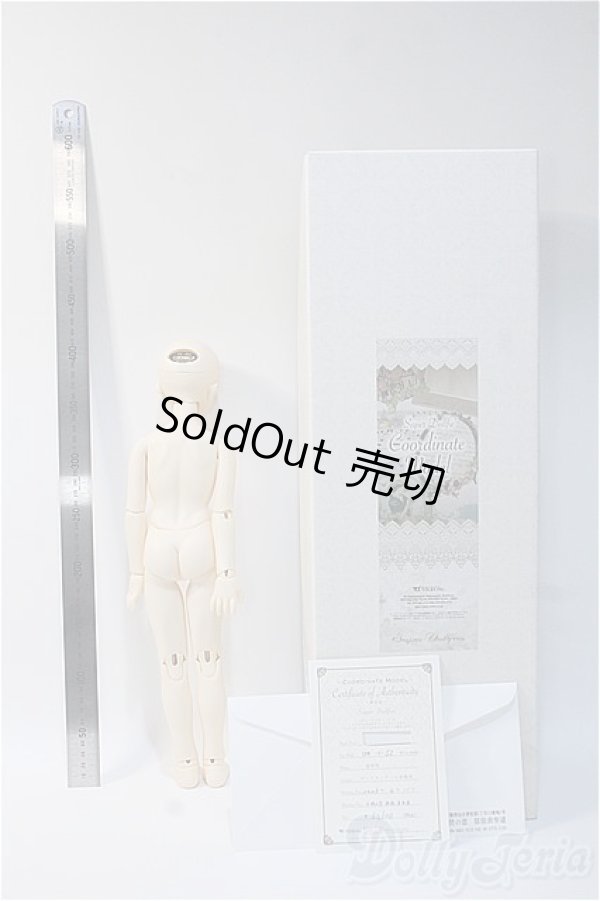 画像5: SDM女の子/F-52 コーディネートモデル Y-24-12-04-290-NY-ZY (5)