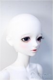 画像2: LITTLE MONICA/Little Sophia Y-24-12-25-268-NY-ZY (2)
