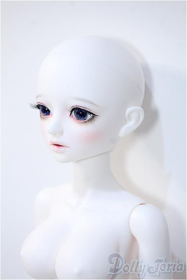 画像3: LITTLE MONICA/Little Sophia Y-24-12-25-268-NY-ZY (3)