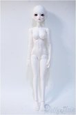 画像4: LITTLE MONICA/Little Sophia Y-24-12-25-268-NY-ZY (4)
