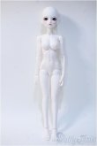 画像8: LITTLE MONICA/Little Sophia Y-25-08-13-279-NY-ZY (8)