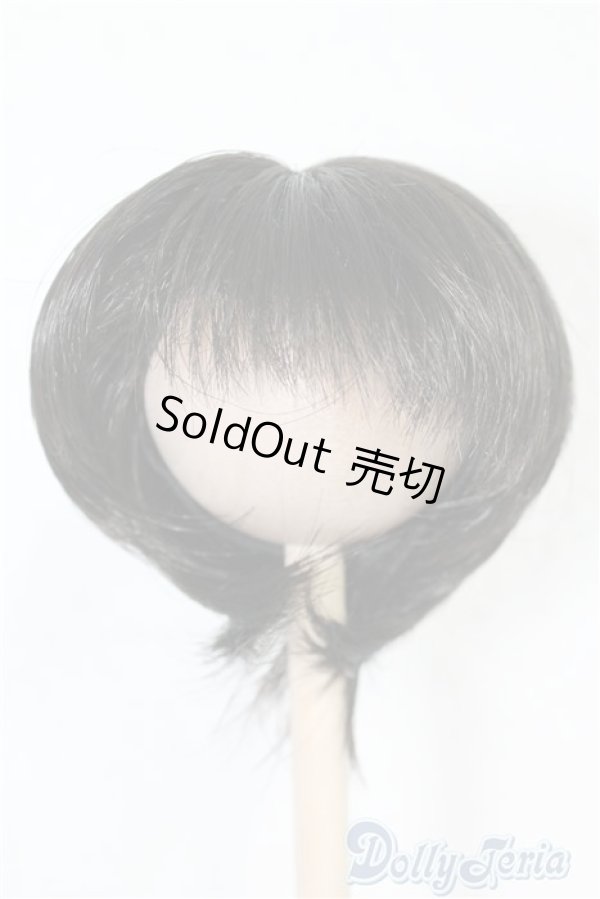 画像1: 7-8inch/ウィッグ U-24-06-04-057-NY-ZU (1)