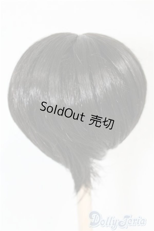 画像2: 7-8inch/ウィッグ U-24-06-04-057-NY-ZU (2)