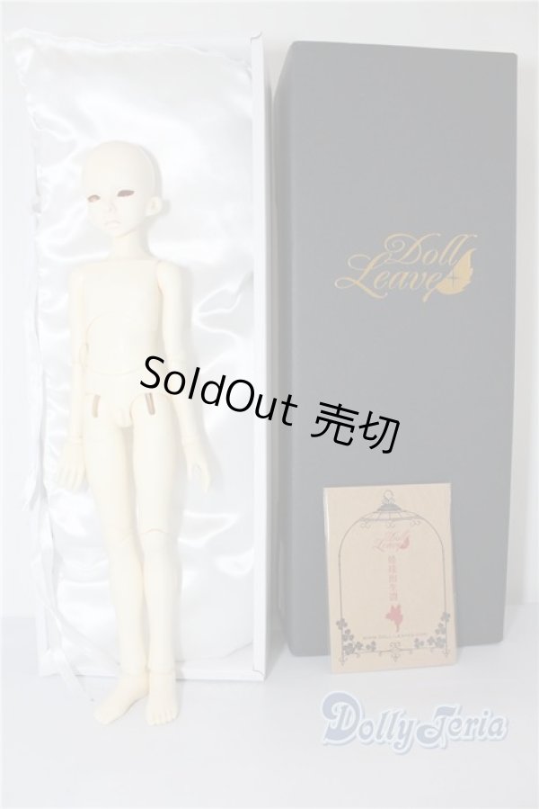 画像2: Doll Leaves /Jeremy  A-24-06-05-1031-NY-ZU (2)