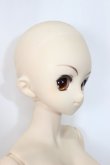画像5: DD/涼宮ハルヒ A-24-05-22-299-NY-ZA (5)
