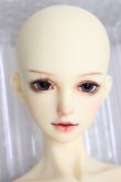 画像1: XAGADOLL/Ciele A-24-05-22-301-KD-ZA (1)