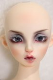画像3: FairyLand/FeePle60 Sia Full Package (Crow Witch)/ A-25-02-12-308-KD-ZA (3)