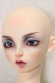 画像5: FairyLand/FeePle60 Sia Full Package (Crow Witch)/ A-25-02-12-308-KD-ZA (5)