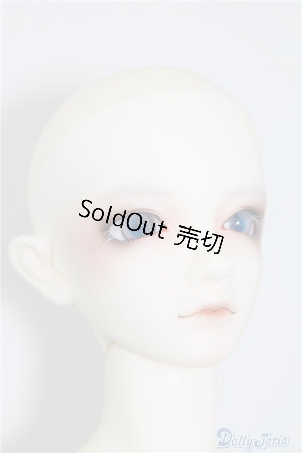 画像6: SDGrBOY/フルチョイス:SD-F-49 U-24-07-02-217-KD-ZU (6)