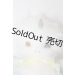画像: ドラゴン/あーにゃのふわふわ工房様製 A-24-06-19-1039-NY-ZU