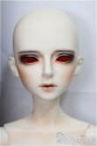 画像1: LITTLE MONICA/Little Haazel　A type -Make/BJD　球体関節人形 A-25-02-12-326-NY-ZA (1)