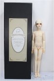 画像4: LITTLE MONICA/Little Haazel　A type -Make/BJD　球体関節人形 A-25-02-12-326-NY-ZA (4)