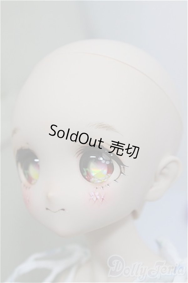 画像3: DD/DWC＃1　花かごの小部屋様製カスタムヘッド A-24-06-12-300-NY-ZA (3)