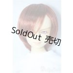 画像: SD13B/リンク Y-24-07-10-300-YD-ZY