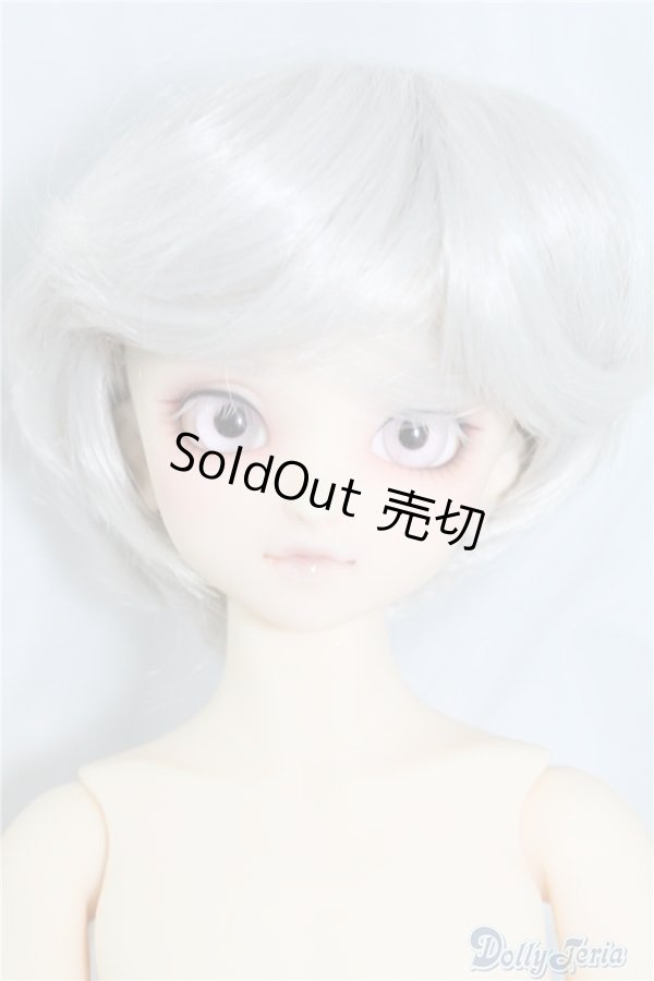 画像1: SDM/F-40　フルチョイス U-24-07-02-212-NY-ZU (1)