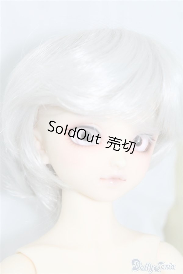 画像2: SDM/F-40　フルチョイス U-24-07-02-212-NY-ZU (2)