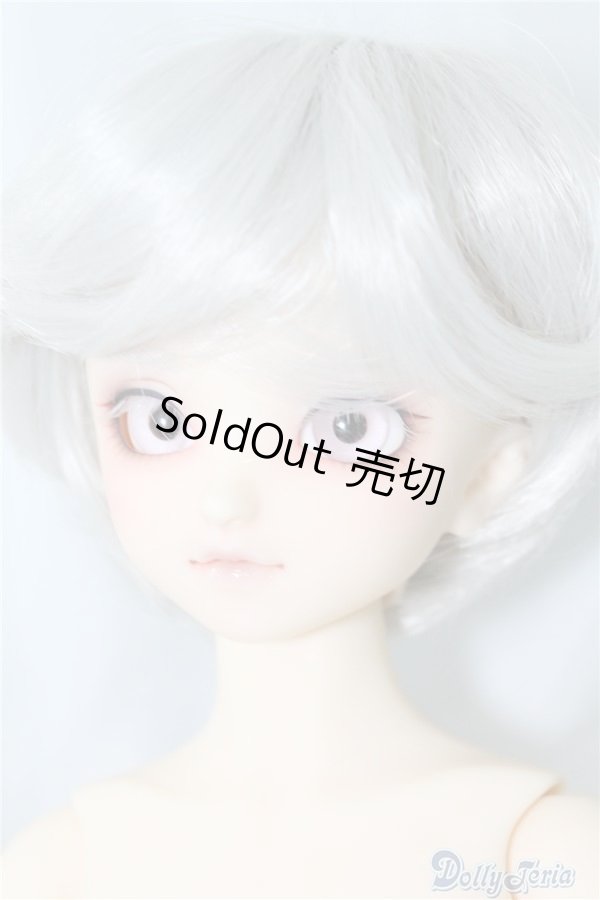 画像3: SDM/F-40　フルチョイス U-24-07-02-212-NY-ZU (3)