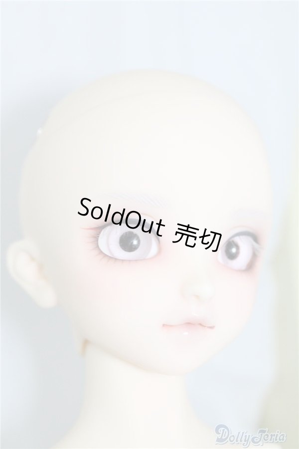 画像6: SDM/F-40　フルチョイス U-24-07-02-212-NY-ZU (6)