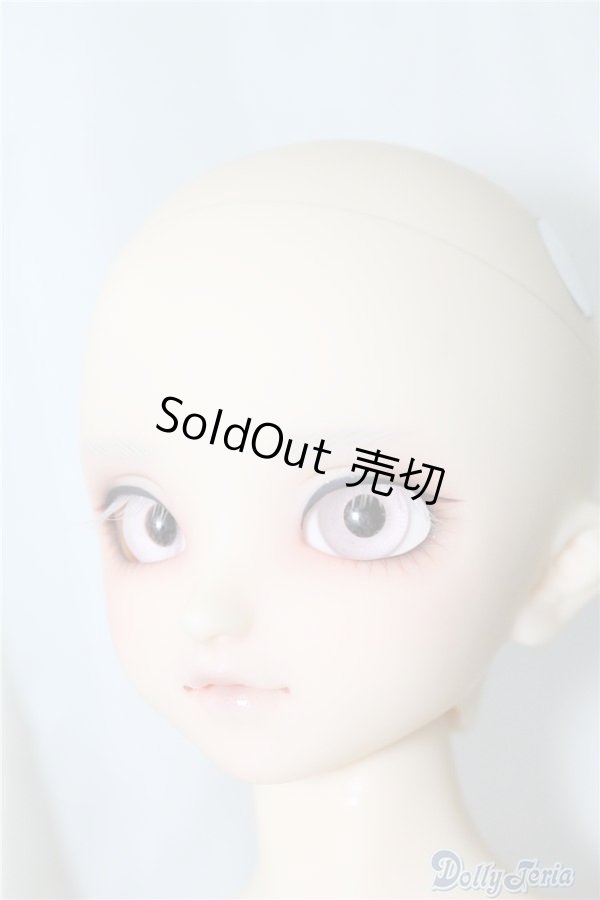 画像7: SDM/F-40　フルチョイス U-24-07-02-212-NY-ZU (7)