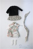 画像1: 1/6/衣装 Y-24-12-18-359-KD-ZY (1)
