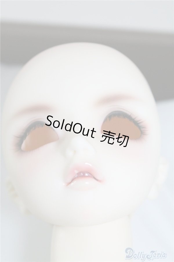 画像5: SDGｒB/F-45　フルチョイス U-24-07-02-219-NY-ZU (5)